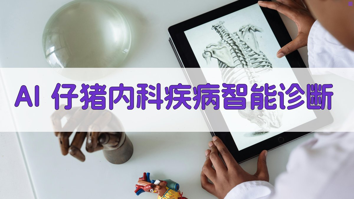 AI 仔猪内科疾病智能诊断